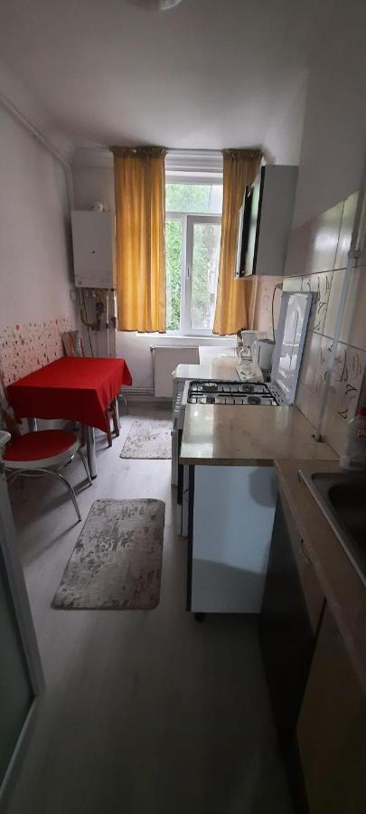 Apartament La Denis Bîrlad Eksteriør bilde